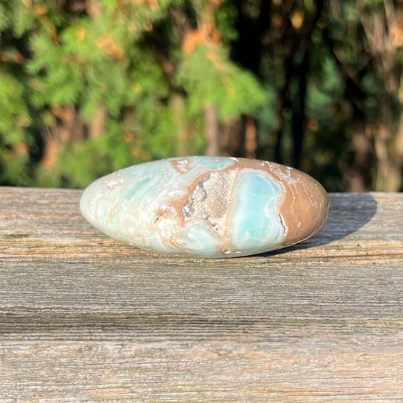 Caribbean Calcite Palm - Picture 5 of 5